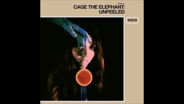 Cage the Elephant - Whole Wide World (Live) смотреть онлайн