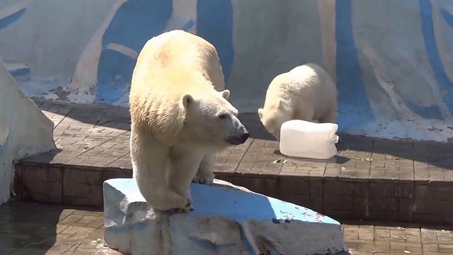 ГЕРДА И РОСТИК. Канистры слаще сна) смотреть онлайн