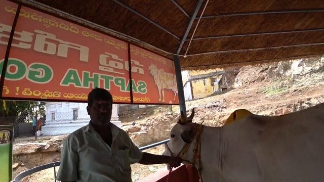 ИНДИЯ.ПАУК,ЗМЕЯ И СЛОН. смотреть онлайн