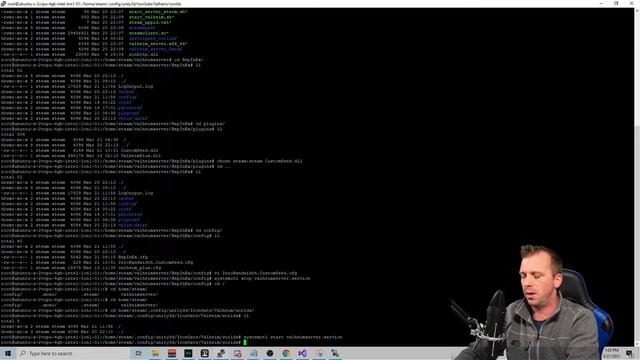 Custom Seed Valheim Dedicate Server Linux смотреть онлайн