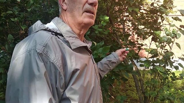 Воротынск смотреть онлайн