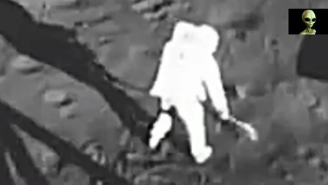 ПРАВДА О ЛУНЕ / ДЖУЛИАН АССАНЖ / ОБМАН NASA смотреть онлайн