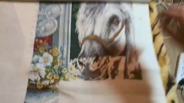 мои старая и новая лошадки смотреть онлайн