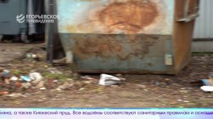 Новый выпуск программы «Егорьевск сегодня» от 05. 08. 24