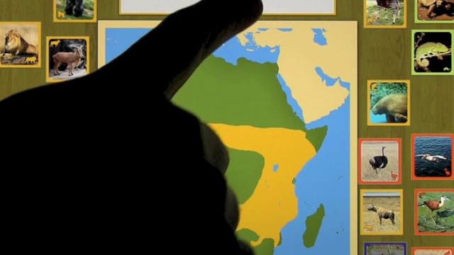Animals of Africa - A Montessori Approach to Geography смотреть онлайн