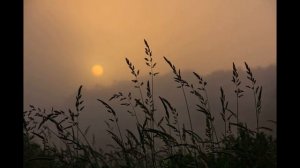 Мне приснился шум дождя . Клип-- песеня.