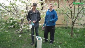 Не крадите у себя урожай. Подкормите дерево во время цветения.