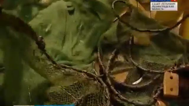 Корюшка идёт на нерест смотреть онлайн