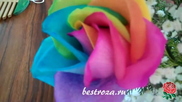 Как выглядят радужные розы смотреть онлайн