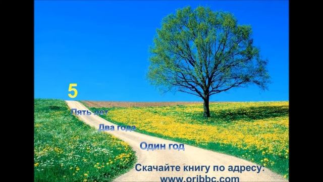 Презентация книги Wellness смотреть онлайн
