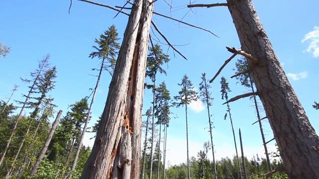 Fishers Return смотреть онлайн