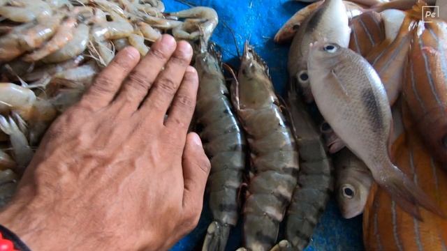 The Local Way Of LIFE | Seaside FRESH Fish Market Sri Lanka смотреть онлайн