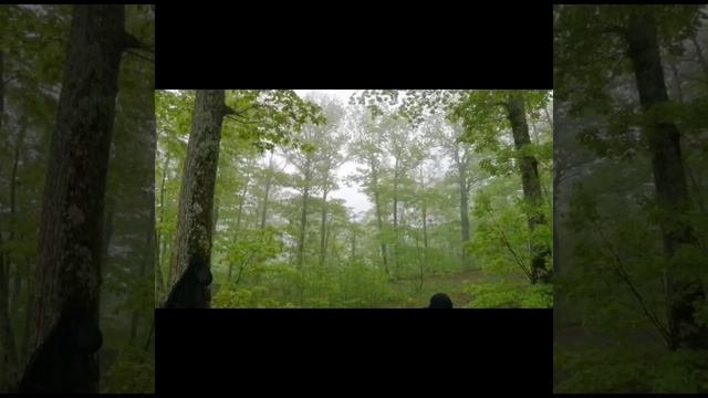 Гора Папай. Первый путь к вершине.