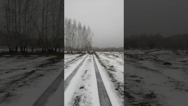 Громкий Logan