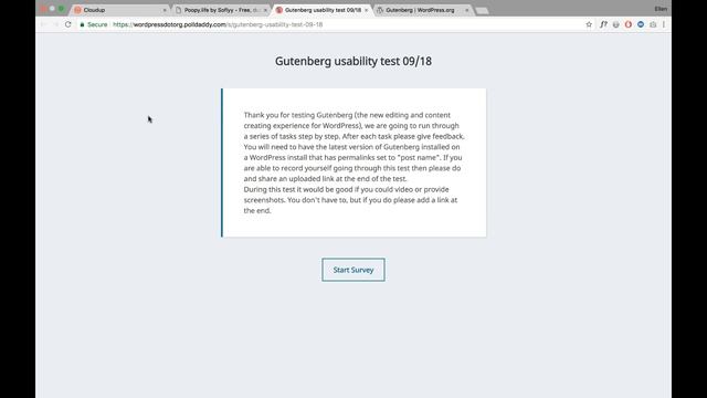 Let's test Gutenberg! Take part in the WordPress Gutenberg editor survey смотреть онлайн
