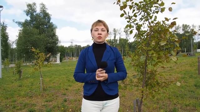 Видеоэкскурсия. «Зелёные символы города» (Городской парк). смотреть онлайн