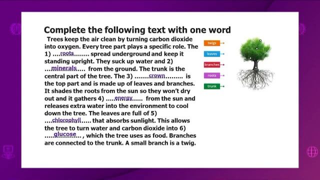 Английский язык. 8 класс. Tree parts and functions /18.02.2021/ смотреть онлайн