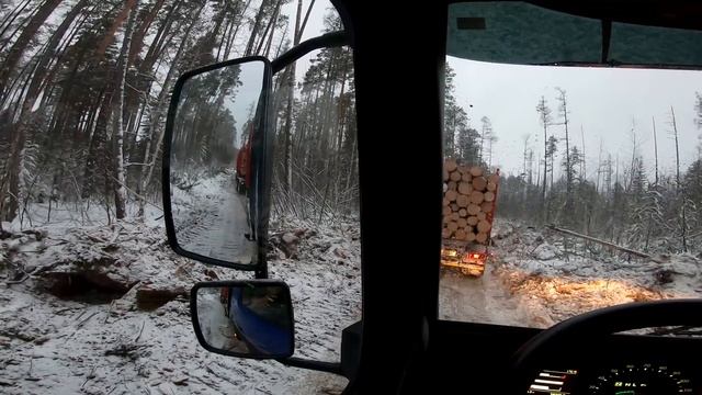 Самая ОПАСНАЯ профессия?/ 100 тонн за спиной/ Как возят ЛЕС СИБИРИ? смотреть онлайн