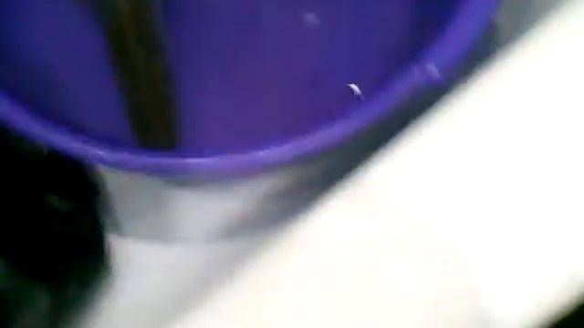 Живая щука смотреть онлайн