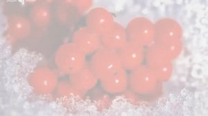 Калина красная, калина  горькая. Поёт автор Игорь Слуцкий.