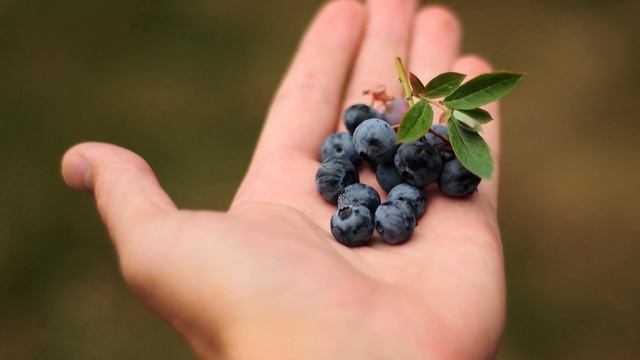 Ясный ум будет даже в 90 | Ешь и умней | ТОП 7 полезных продуктов для мозга смотреть онлайн