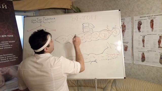 Можно ли проводить мануальную терапию на холодном теле? Остеохондроз. (ВОПРОС-ОТВЕТ) смотреть онлайн