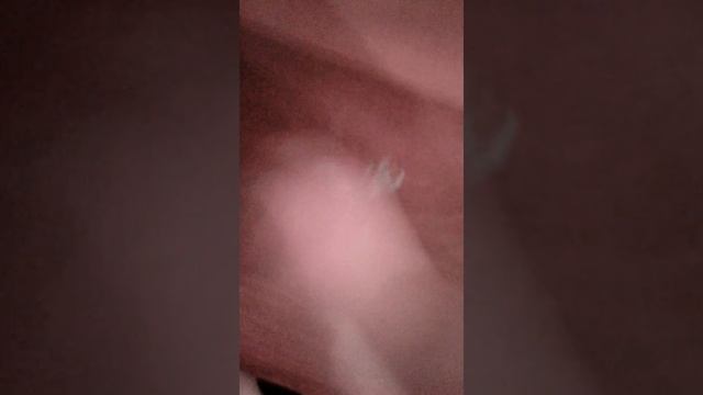 Как легко отмыть зелёнку смотреть онлайн