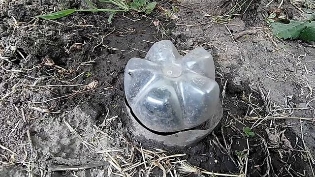 ?Летняя подкормка винограда Монофосфат калия