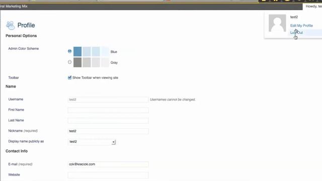 Redirect Wordpress Users After They login Away From Admin Page смотреть онлайн