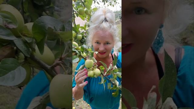 Жизнь прекрасна и удивительна. Leben Genießen ❤️ смотреть онлайн