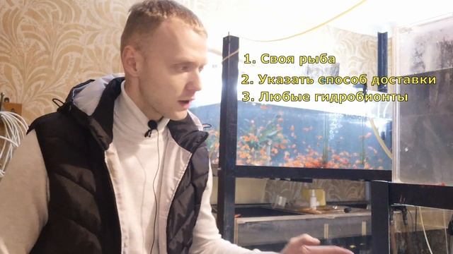 ИЩУ ПОСТАВЩИКОВ смотреть онлайн