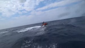 На гидроциклах по волнам BRP Rxp-300