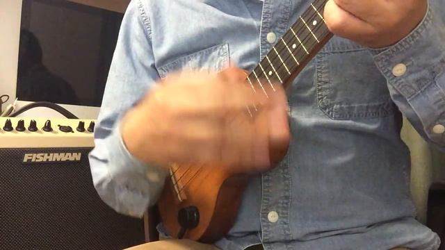 BLUE MOON / Ukulele with acoustic pickup MSP смотреть онлайн