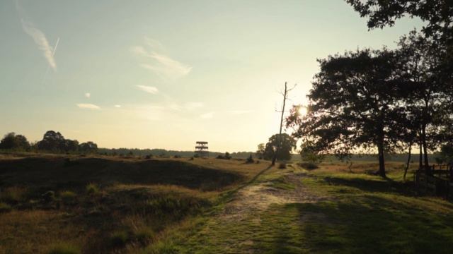 ✅ Главное МУЖСКОЕ качество - Его ищут 95% ЖЕНЩИН смотреть онлайн