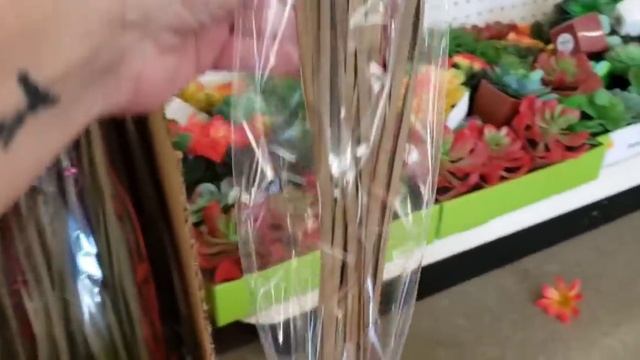 Come With Me To *2* Dollar Trees | Sensational Items/ Sept 19 смотреть онлайн