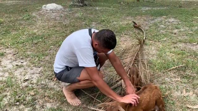 Спасение животных смотреть онлайн