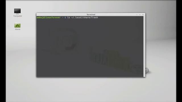 Empty Trash through command line terminal in Linux Mint (Ubuntu) смотреть онлайн