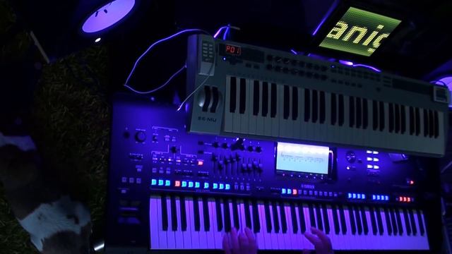 Laura Branigan Self Control 1984 Cover by Albert on Yamaha Genos смотреть онлайн