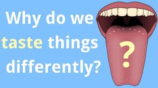 Why Do We Taste Things Differently? смотреть онлайн
