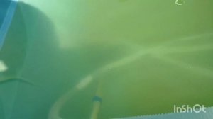 Запуск бассейна после зимы