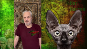 А вот, допустим, ждуны.../ Кот Костян