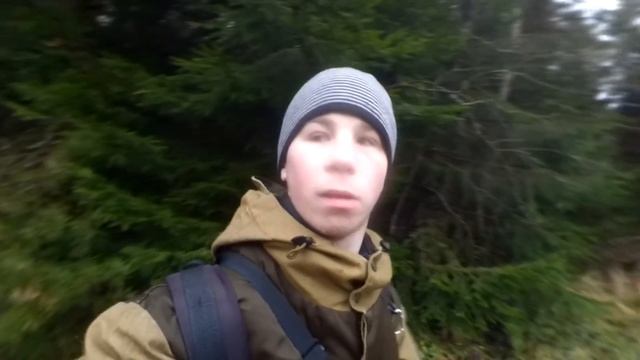 ВЫХОД В ЛЕС .Дикие Животные .Январский лес .Беларусь 2018г смотреть онлайн