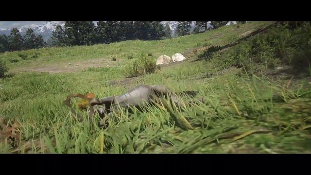 Donkey - Red Dead Redemption 2 - Donkey herd смотреть онлайн