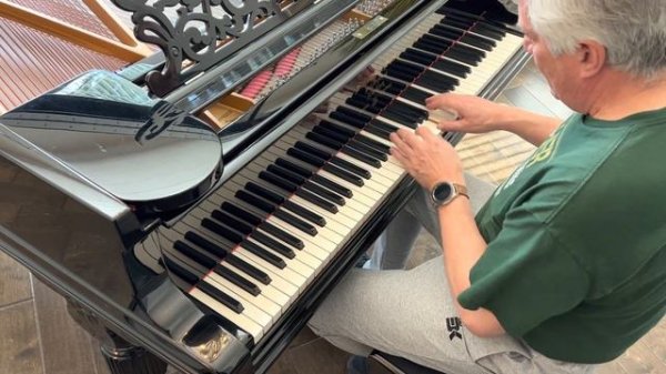 Merry Go Round of Life -Fake Music Chords, Piano cover by Carlos Richer