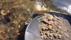 экспедиция за золотыми самородками.
поиск золота на реке!!!