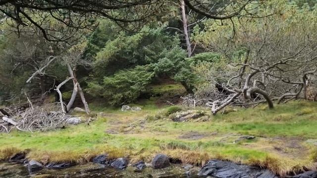 Рыбий жир и витамин Д в Норвегии. смотреть онлайн