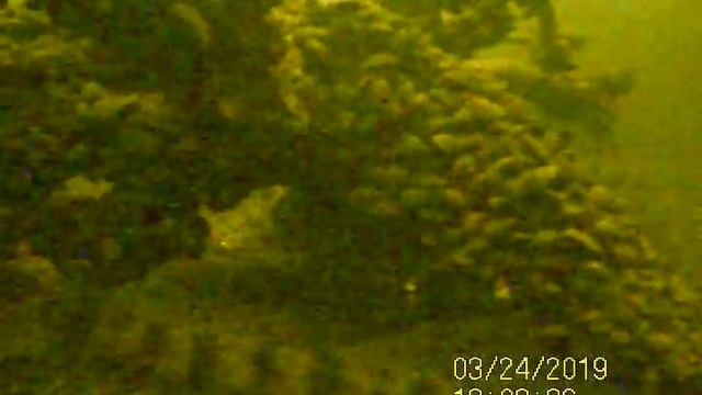 Морская сорога и судаки Горьковского водохранилища смотреть онлайн