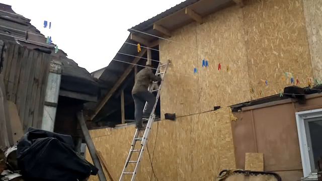 Тёмные крылья