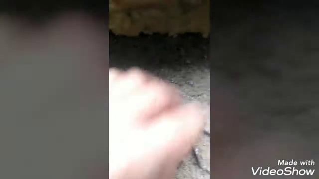 Как одному подшить потолок#лайфхак#крутим черновой потолок#черновой потолок  своими руками