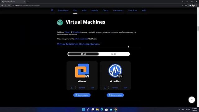 How to install Kali Linux on VMware 2023 (Very Easy) смотреть онлайн